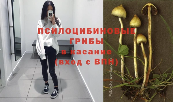 каннабис Алзамай
