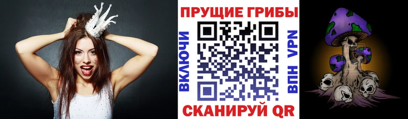 купить наркотики сайты  Цивильск  mega зеркало  Галлюциногенные грибы Psilocybe 